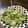 たまに料理当番's cooksnap of when they made そら豆の茹で方。.