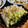 低カロ探検隊's cooksnap of when they made ふきの煮物♪.