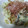 ローズマリー1109's cooksnap of when they made 簡単副菜！キャベツときゅうりのマヨサラダ.