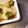 よしお03's cooksnap of when they made 【簡単】さっぱりオクラのポン酢和え♡.