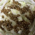 かおり♡♡♡'s cooksnap of when they made 納豆サラダ ダイエットメニュー♡.