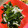 muumi☆'s cooksnap of when they made あと一品☆わかめとしらすの生姜和え.