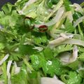 berineko's cooksnap of when they made パクチーとシラスのタイ風サラダ.