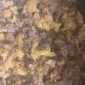 蜜柑の花's cooksnap of when they made 豚ひき肉のゴロゴロそぼろとふんわり卵丼.