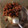 クックCDS7TO☆'s cooksnap of when they made 我んとこの、梅かかみそ.