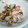 れのっち's cooksnap of when they made 簡単おつまみ♪アサリの洋風酒蒸し.