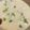 ブランシュkuu's cooksnap of when they made 白だしで茶碗蒸し.