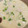 ブランシュkuu's cooksnap of when they made 白だしで茶碗蒸し.
