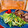 ＊あんずあん＊'s cooksnap of when they made 失敗しない！シャキシャキ豆苗もやし炒め.