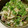 ＋SUN3's cooksnap of when they made ●もやしとえのきのポン酢炒め●.