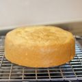 ななクレープ's cooksnap of when they made 初めてな☆苺ショート.