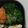 G_Yossan's cooksnap of when they made 簡単◎ブロッコリーの梅マヨ和え.