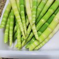 ドラエミ's cooksnap of when they made 細竹（姫竹・月山竹）の下処理.