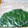 ドラエミ's cooksnap of when they made ☆ヨモギの、簡単下処理、保存！.