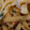 れそそ's cooksnap of when they made 大根おろしの和風パスタ.