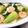 ♡こもれび♡'s cooksnap of when they made えびとチンゲン菜の生姜風味あんかけ.