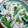 クック96NI1Q☆'s cooksnap of when they made これは簡単！ほうれん草と豚肉の常夜風蒸し.