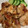 レトリバーママ's cooksnap of when they made 焼いて絡めるだけ！鶏の柚子胡椒焼き.
