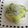 クックH86AFM☆'s cooksnap of when they made キャベツとじゃこの塩昆布炒め.