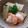 yumelon88's cooksnap of when they made 北海道料理 藤半の筍とふきの煮物.