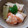 yumelon88's cooksnap of when they made 北海道料理 藤半の筍とふきの煮物.