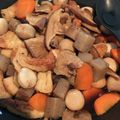 お肉ファミリーパック's cooksnap of when they made クッキングプロで根菜の煮物.