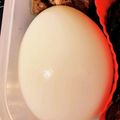 ちびも♪'s cooksnap of when they made 麺つゆでお手軽・簡単！味玉.