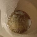 さとみんちゃちゃちゃ's cooksnap of when they made 再現飯【天気の子】卵白ふわふわ中華スープ.
