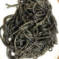 クック0RJ66V☆'s cooksnap of when they made いかの黒造りＤＥパスタ.