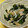 QPはにー's cooksnap of when they made とよ婆ちゃんの蕗の炒め煮ジャコワカメ入り.