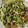 KAORU4649's cooksnap of when they made 焼きそば.