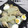 おはなすき's cooksnap of when they made 鶏手羽元と大根の煮物〜♪.