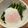 ♪3kindsママ♪'s cooksnap of when they made キムチの素で♪ スピードニラキムチ.