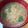 dollyj's cooksnap of when they made ささがきごぼうの胡麻味噌汁.