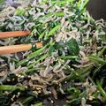 MuttanAsou's cooksnap of when they made じゃこほうれん草.