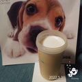 beagleのライラ's cooksnap of when they made とっても簡単　懐かしのミルクセーキ.