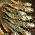 さぁ★たぁ★'s cooksnap of when they made 丸干しイワシのアヒージョ.
