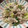 なつっこりー's cooksnap of when they made ネギ豚のレモン炒め.