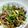 ♪ゆかたん♡'s cooksnap of when they made 食欲そそるチンジャオロースー♪.