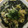 かおり♡♡♡'s cooksnap of when they made たまごとわかめのスープヌードル.