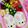 ♡あいうえお♡'s cooksnap of when they made ＊キャラ弁＊簡単★コロリン♪うさぎちゃん.