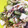 ブランシュkuu's cooksnap of when they made 爽やか♪きゅうりと山芋の梅シソサラダ.