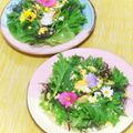 KotoLi☆'s cooksnap of when they made わあきれい！ゆで卵で❁ミモザの花飾り.