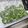 myacooking's cooksnap of when they made 【便利☆】ゴーヤの冷凍保存.
