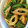 クック57Q3BH☆'s cooksnap of when they made ピーマンとちくわのきんぴら.