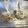 myacooking's cooksnap of when they made まいたけの冷凍.