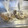 myacooking's cooksnap of when they made まいたけの冷凍.