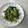 Ruriluru's cooksnap of when they made 小松菜とツナの和風マヨ和え.