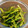 ソネチコ's cooksnap of when they made せりの和風ナムル.