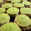 ちょこふみ's cooksnap of when they made しっとりサクサク☆抹茶クッキー.
